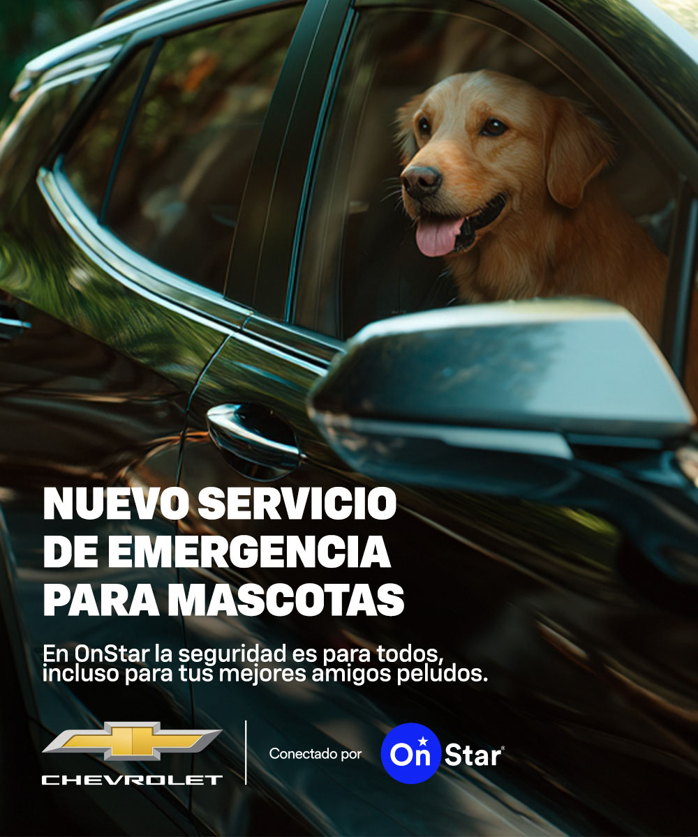 seguridad pata todos